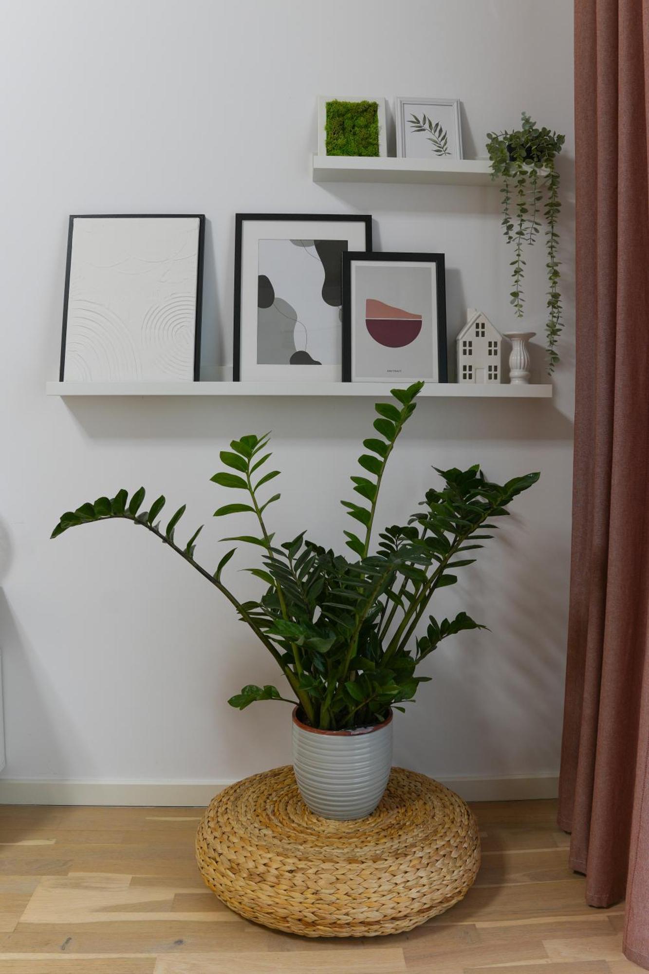 Amalia - Quiet 1Br Apartment With Parking & Wi-Fi Bucarest Extérieur photo
